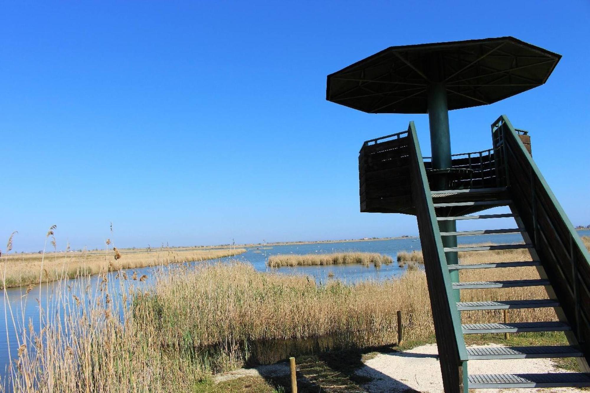 Eusebio - Casa En Riumar Para 4 Personas Y En Primera Linia De Mar - Deltavacaciones Zewnętrze zdjęcie
